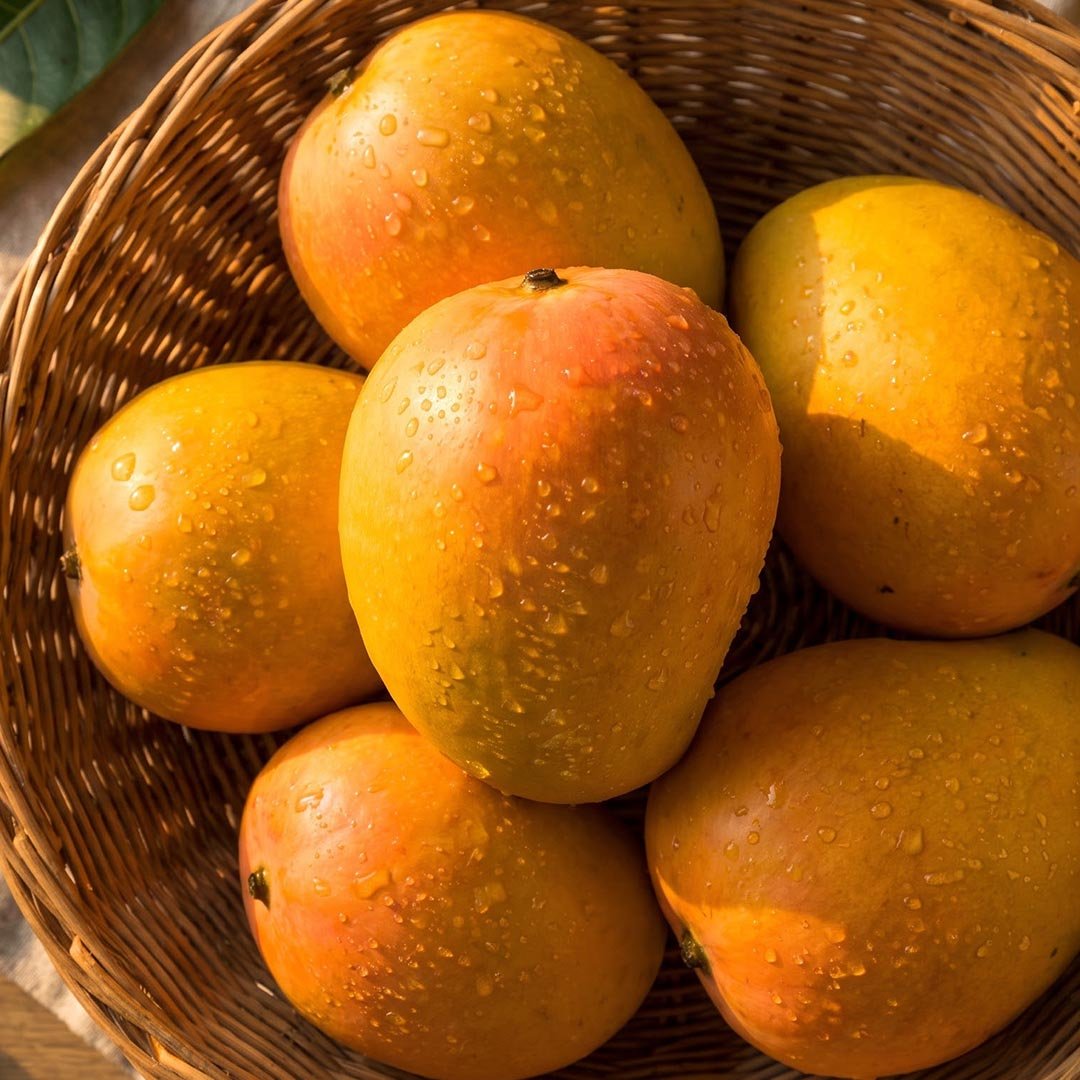 fruits1-alphanso-mango-1 Alphonso Mango - Image 1
