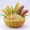 Rice & Rice Varities