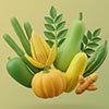Fresh Vegetables