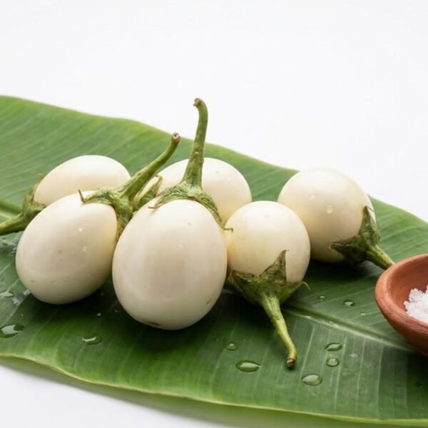 Brinjal (White)