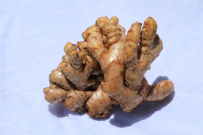 Ginger