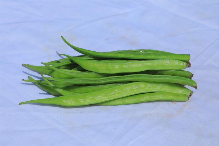 Cluster Beans