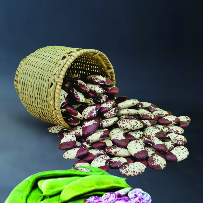 Bangalore Double Beans