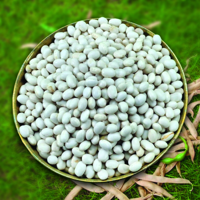 Himachal Rajma Safed