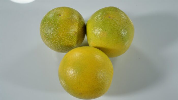 Lemon