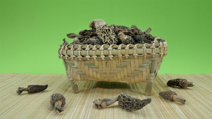Kasmir Morel Mushroom