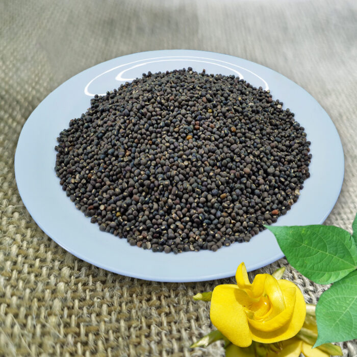 Uttarkant Phadi Urad Malai Ulundhu