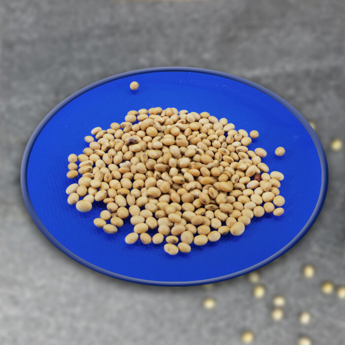 Uttarkant White Soyabean